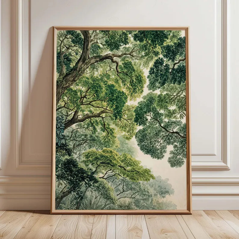 Forest Canopy
