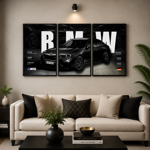 CAR FRAMES